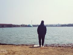 -上海都市菜园