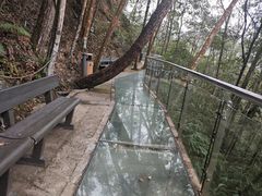 -九龙江国家森林公园