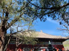 -红螺寺