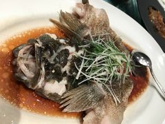 -清水蘭軒