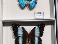 -烟台市博物馆