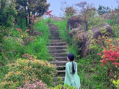 -玉苍山国家森林公园