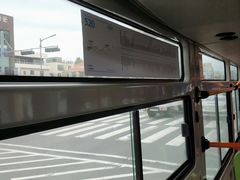 -西归浦每天偶来市场
