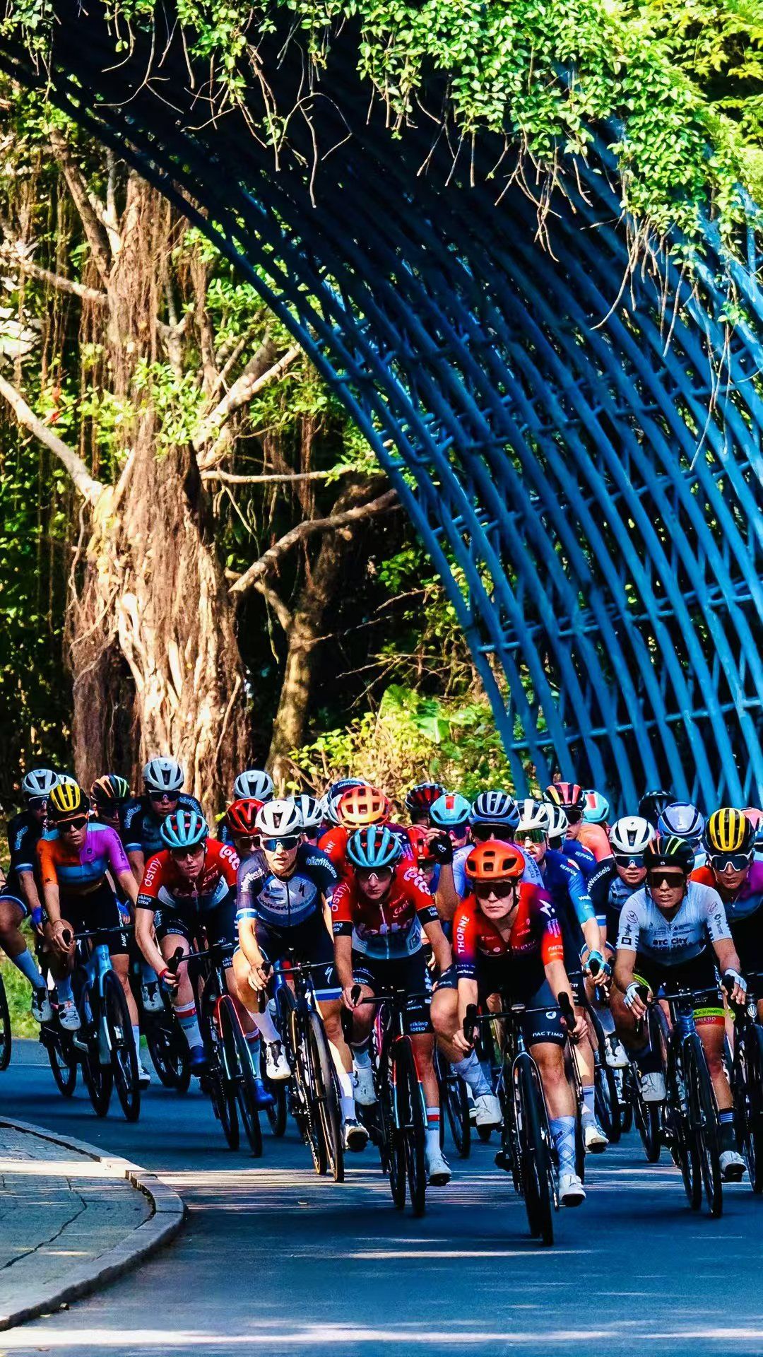 2024环广西公路自行车世界巡回赛