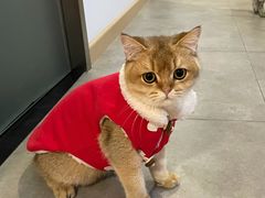 -安安宠医·安宠宠物医院