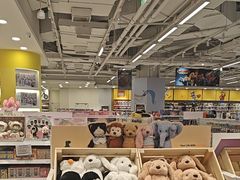 -TOYSRUS玩具反斗城(合肥华润万象城店)