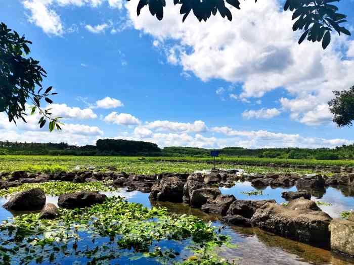 久温塘冷泉-"交通: 只能自驾或者跟旅游团,乡道路很窄.
