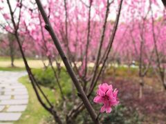 -上海市龙华烈士陵园