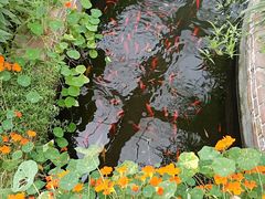 -中国天府农业博览园