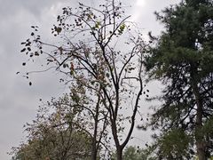 -国家图书馆·古籍馆