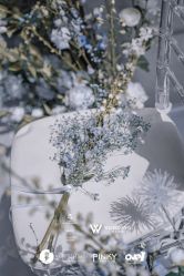 -浙江1+1主持人工作室