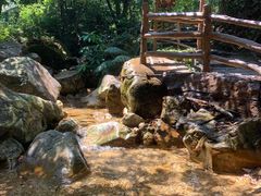 -牛鱼嘴原始生态风景区