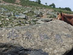 -灵山
