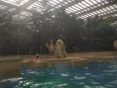 景点-龙达温泉生态城