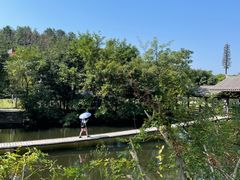 -黄陂区野村谷景区