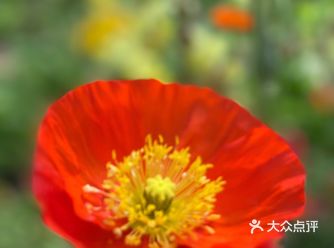 因为位置偏远，好久没有去共青森林公园