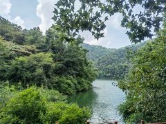 -广州市石门国家森林公园