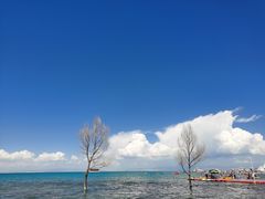 -青海湖国家重点风景名胜区