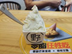 -野人先生现做冰淇淋(北京环宇荟店)