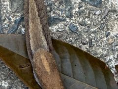 -东天目山风景区