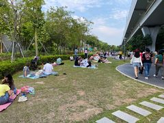 -宝安西湾红树林湿地公园