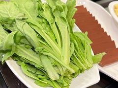 -蝎王府羊蝎子(北大地店)