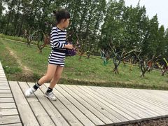 -前小桔亲子创意农场·草莓采摘·露营烧烤