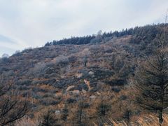 -妙峰山风景名胜区