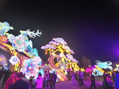-淄博花灯齐彩城
