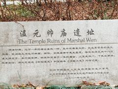 -温元帅庙遗址
