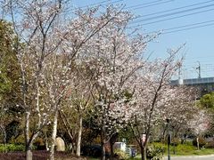 -外高桥保税区南(地铁站)