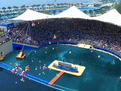 -秦皇岛乐岛海洋王国