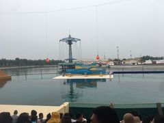 -秦皇岛乐岛海洋王国