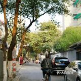 南京漫步｜民国风建筑里的细碎温柔光阴