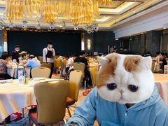 -金苑海鲜酒家(来魅力店)