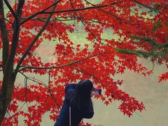 -田野绿世界