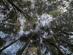 -大蜀山国家森林公园