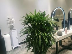 -杉影印象日式烫染專門店