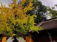 -成都市文殊院