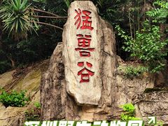 -深圳野生动物园
