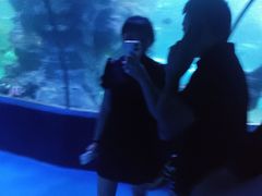 -左海海底世界