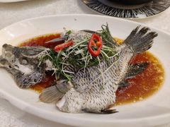 -百乐门喜宴(海珠广场华厦店)