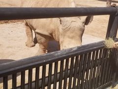 -鄂尔多斯野生动物园