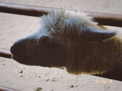 -杭州野生动物世界