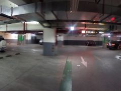 -绿地新都会