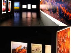 -罗红摄影艺术馆