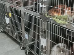 -芭比堂动物医院·24小时·眼科中心(深圳中心)