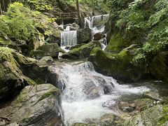 -牛背梁国家森林公园