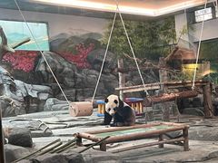 -武汉动物园