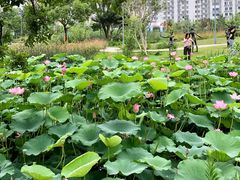 -宁波儿童公园(鄞州区)